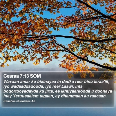 Cesraa 7:13 SOM Bible Verse Image