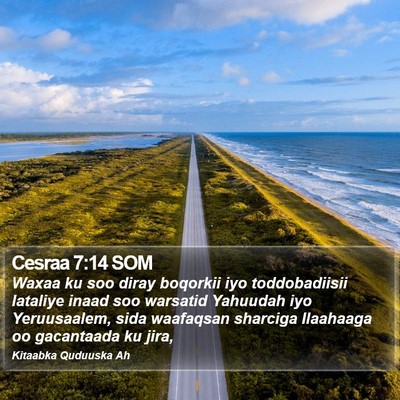 Cesraa 7:14 SOM Bible Verse Image
