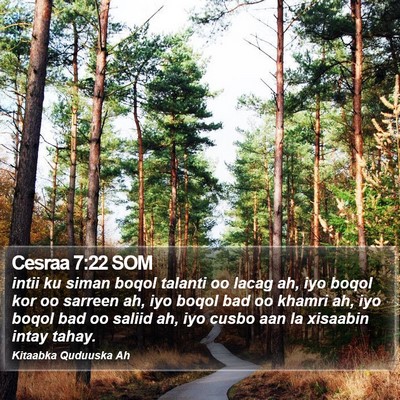 Cesraa 7:22 SOM Bible Verse Image