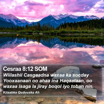 Cesraa 8:12 SOM Bible Verse Image