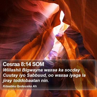 Cesraa 8:14 SOM Bible Verse Image