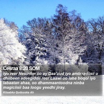 Cesraa 8:20 SOM Bible Verse Image
