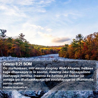 Cesraa 8:21 SOM Bible Verse Image