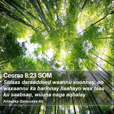 Cesraa 8:23 SOM Bible Verse Image