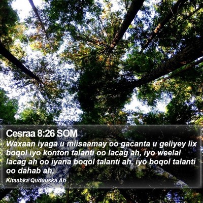 Cesraa 8:26 SOM Bible Verse Image