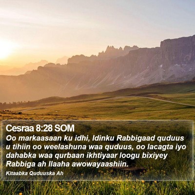 Cesraa 8:28 SOM Bible Verse Image