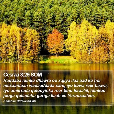 Cesraa 8:29 SOM Bible Verse Image