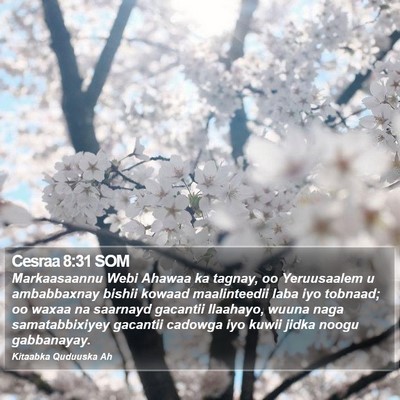 Cesraa 8:31 SOM Bible Verse Image