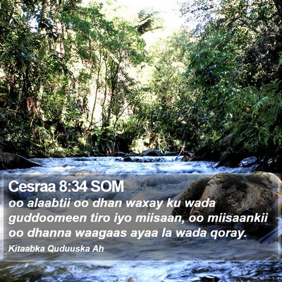Cesraa 8:34 SOM Bible Verse Image