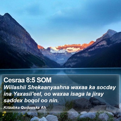 Cesraa 8:5 SOM Bible Verse Image