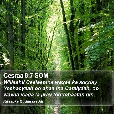 Cesraa 8:7 SOM Bible Verse Image