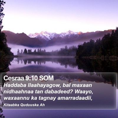 Cesraa 9:10 SOM Bible Verse Image
