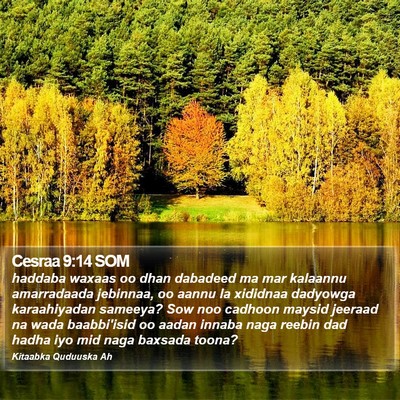Cesraa 9:14 SOM Bible Verse Image