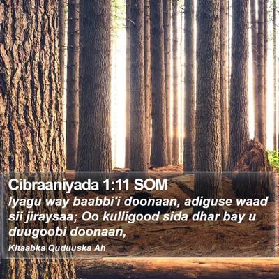 Cibraaniyada 1:11 SOM Bible Verse Image