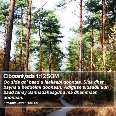 Cibraaniyada 1:12 SOM Bible Verse Image