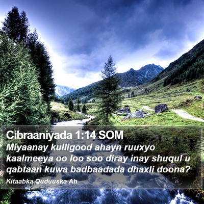 Cibraaniyada 1:14 SOM Bible Verse Image