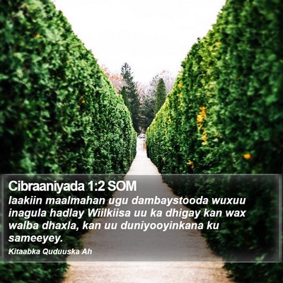 Cibraaniyada 1:2 SOM Bible Verse Image