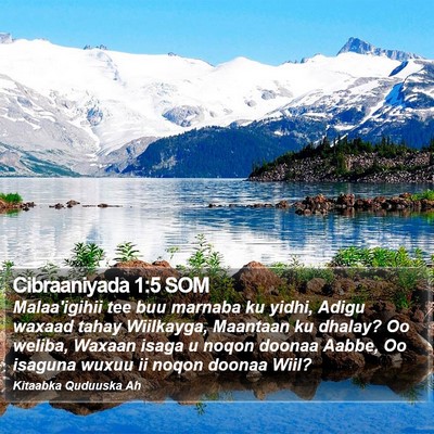 Cibraaniyada 1:5 SOM Bible Verse Image