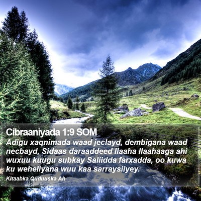 Cibraaniyada 1:9 SOM Bible Verse Image