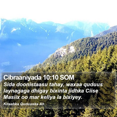 Cibraaniyada 10:10 SOM Bible Verse Image
