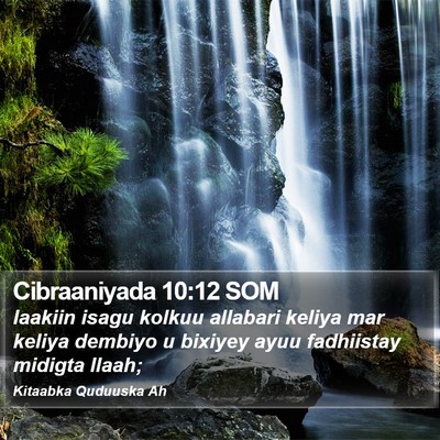 Cibraaniyada 10:12 SOM Bible Verse Image