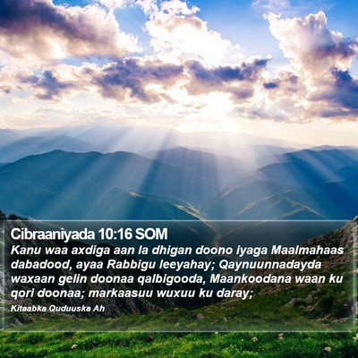 Cibraaniyada 10:16 SOM Bible Verse Image