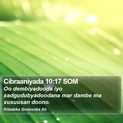 Cibraaniyada 10:17 SOM Bible Verse Image