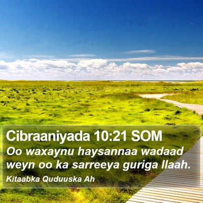 Cibraaniyada 10:21 SOM Bible Verse Image