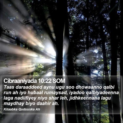Cibraaniyada 10:22 SOM Bible Verse Image