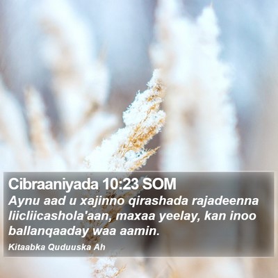 Cibraaniyada 10:23 SOM Bible Verse Image
