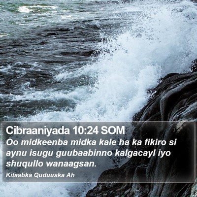 Cibraaniyada 10:24 SOM Bible Verse Image