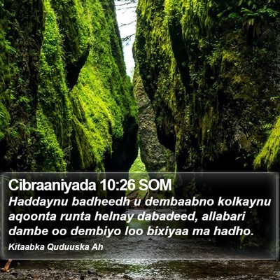 Cibraaniyada 10:26 SOM Bible Verse Image