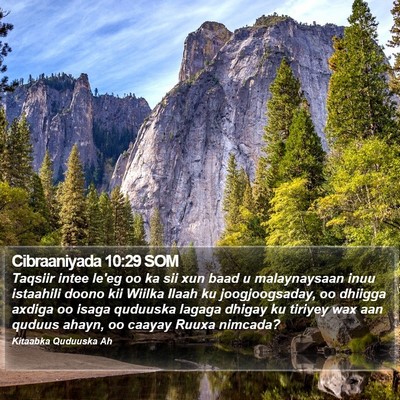 Cibraaniyada 10:29 SOM Bible Verse Image