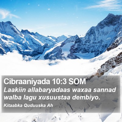 Cibraaniyada 10:3 SOM Bible Verse Image