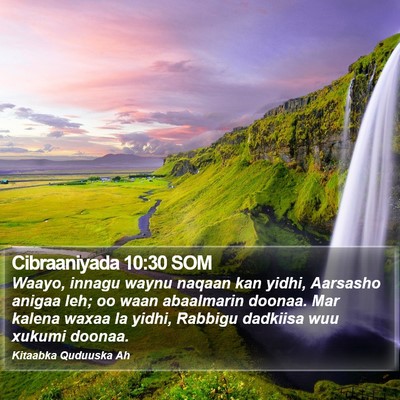 Cibraaniyada 10:30 SOM Bible Verse Image