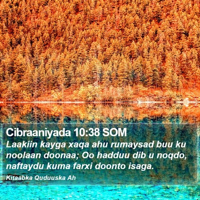 Cibraaniyada 10:38 SOM Bible Verse Image