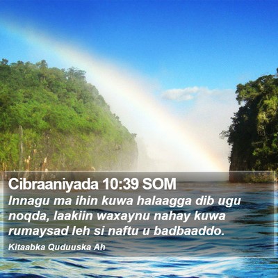 Cibraaniyada 10:39 SOM Bible Verse Image