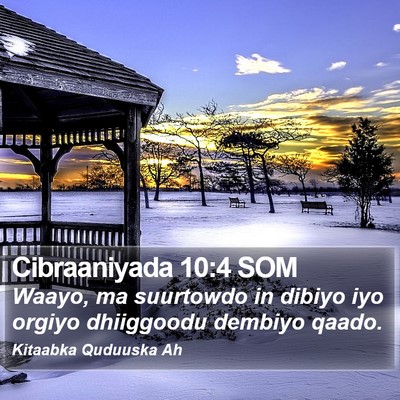 Cibraaniyada 10:4 SOM Bible Verse Image
