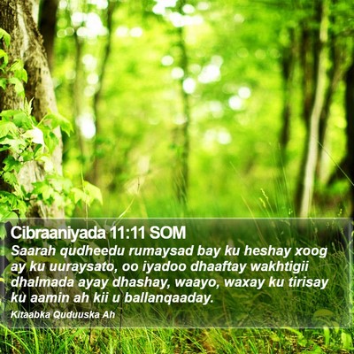 Cibraaniyada 11:11 SOM Bible Verse Image