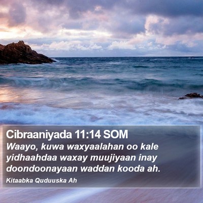 Cibraaniyada 11:14 SOM Bible Verse Image