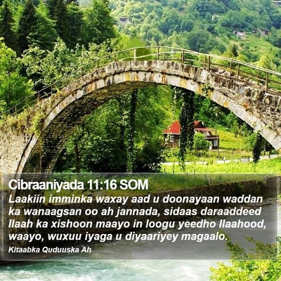 Cibraaniyada 11:16 SOM Bible Verse Image