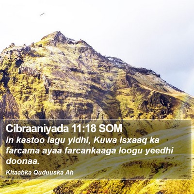 Cibraaniyada 11:18 SOM Bible Verse Image