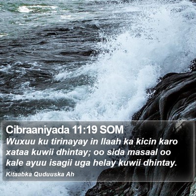 Cibraaniyada 11:19 SOM Bible Verse Image