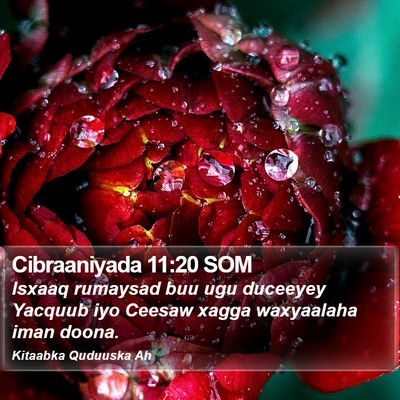 Cibraaniyada 11:20 SOM Bible Verse Image