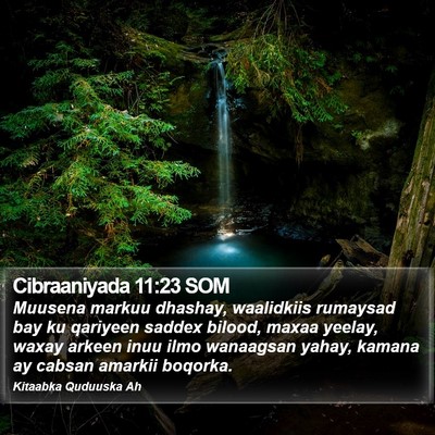 Cibraaniyada 11:23 SOM Bible Verse Image
