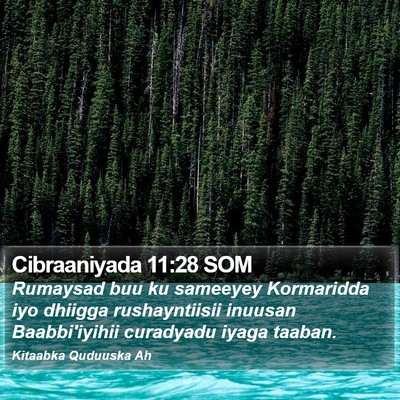 Cibraaniyada 11:28 SOM Bible Verse Image