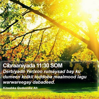 Cibraaniyada 11:30 SOM Bible Verse Image