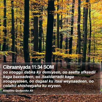 Cibraaniyada 11:34 SOM Bible Verse Image
