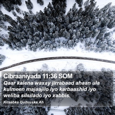 Cibraaniyada 11:36 SOM Bible Verse Image