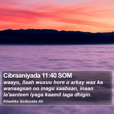 Cibraaniyada 11:40 SOM Bible Verse Image